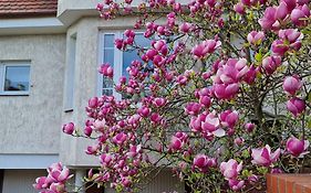 Apartament Magnolia