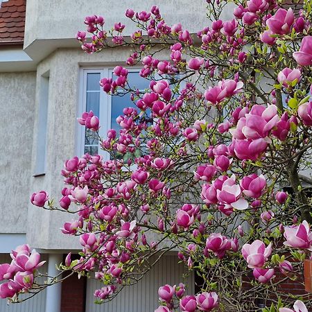 Apartament Magnolia Сопот Екстер'єр фото